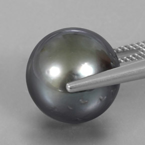 Pérola cinza natural 16,38ct, esfera / bola, opaco