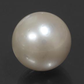 Pérola creme natural 14,32ct, esfera / bola, opaco
