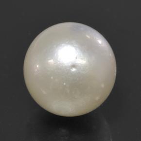 Pérola branco natural 11,51ct, esfera / bola, opaco