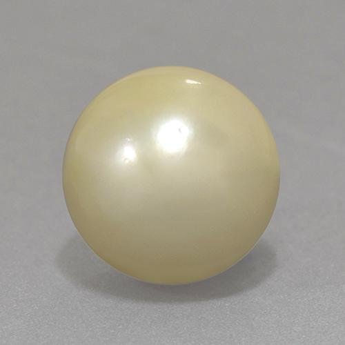 Pérola Luz amarela Natural 13.06ct, Esfera / Bola, Opaco