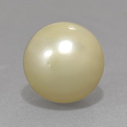 Pérola Luz amarela Natural 13.06ct, Esfera / Bola, Opaco