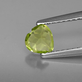 Peridoto verde natural 0,57ct, formato de coração, VS