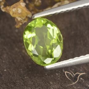 Peridoto Verde amarelado vivo Natural 1.18ct, oval, VS