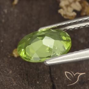 Peridoto Verde médio Natural 1.16ct, oval, VS