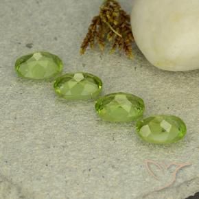 Pedras preciosas de Peridoto Verde médio natural de 5.23 ct, oval, VS
