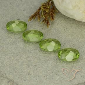 Pedras preciosas de Peridoto verde vivo natural de 5.53 ct, oval, VS