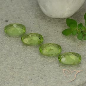 Pedras preciosas de Peridoto Verde médio natural de 4.79 ct, oval, VS