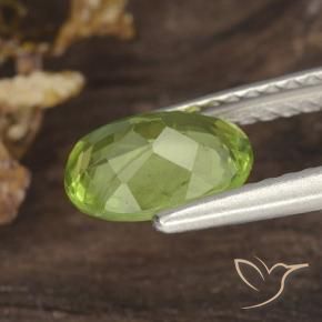 Peridoto Verde amarelado vivo Natural 1.20ct, oval, VS