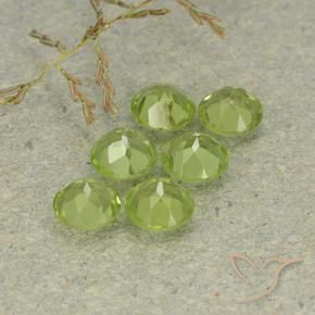 Pedras preciosas de Peridoto Verde médio natural de 2.85 ct, Redondo, VVS-VS