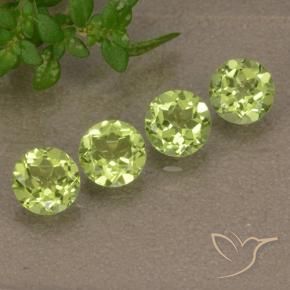 Pedras preciosas de Peridoto Verde Vivo Claro natural de 1.58 ct, Redondo, VVS-VS