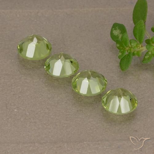 Pedras preciosas de Peridoto Verde Vivo Claro natural de 1.56 ct, Redondo, VVS-VS