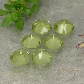 Pedras preciosas de Peridoto Verde Vivo Claro natural de 2.61 ct, Redondo, VVS-VS