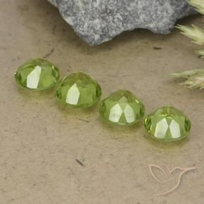 Pedras preciosas de Peridoto Verde médio natural de 3.53 ct, Redondo, VS