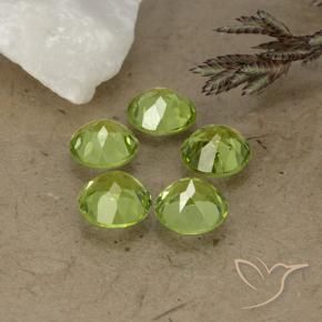 Pedras preciosas de Peridoto verde vivo natural de 3.93 ct, Redondo, VS