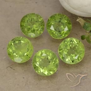 Pedras preciosas de Peridoto verde vivo natural de 4.67 ct, Redondo, VS