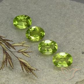 Pedras preciosas de Peridoto Verde médio natural de 5.57 ct, oval, VS