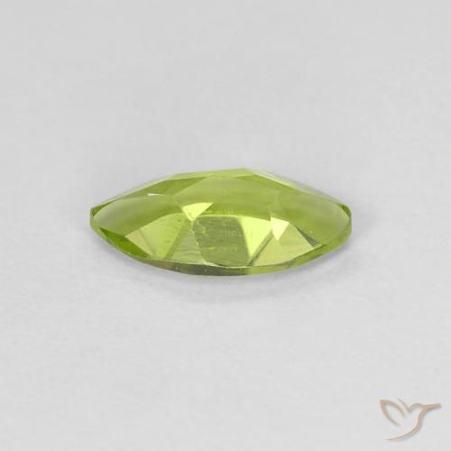 Peridoto Verde amarelado Natural 0.62ct, Marquesa, VVS-VS