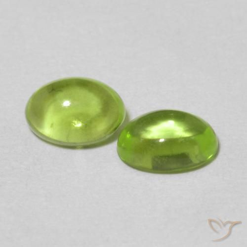 Pedras preciosas de Peridoto Verde médio natural de 1.21 ct, oval, Transparente