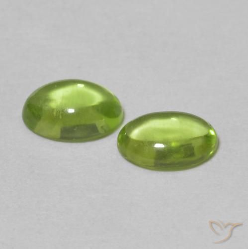 Pedras preciosas de Peridoto Verde médio natural de 1.08 ct, oval, Transparente