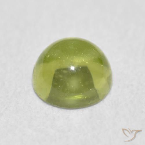 Peridoto Verde oliva Natural 0.38ct, Redondo, Transparente
