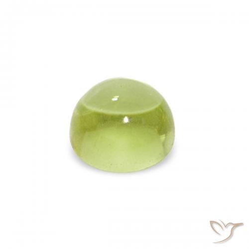 Peridoto Verde oliva Natural 0.38ct, Redondo, Transparente