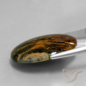 Pietersite Multicolorido Natural 23.92ct, oval, Opaco