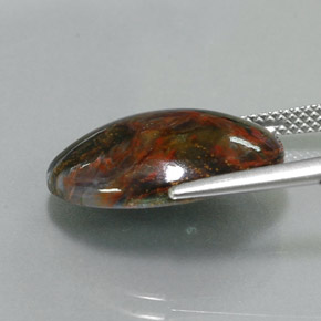 Pietersita multicolorido natural 7,68ct, corte oval, opaco