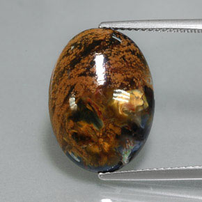 Pietersita multicolorido natural 6,78ct, corte oval, opaco