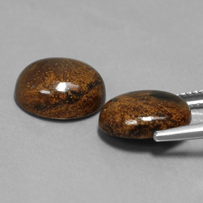 Pedras preciosas de Pietersite Multicolorido natural de  ct, Corte Oval, Opaco