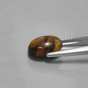 Pietersita multicolorido natural 2,99ct, corte oval, opaco