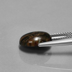 Pietersita multicolorido natural 3,84ct, corte oval, opaco