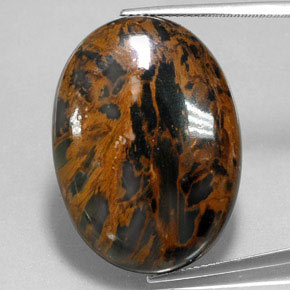 Pietersita multicolorido natural 38,54ct, corte oval, opaco