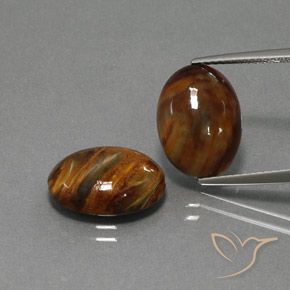 8.66ctw Natural Multicolorido Pietersite, oval, Opaco