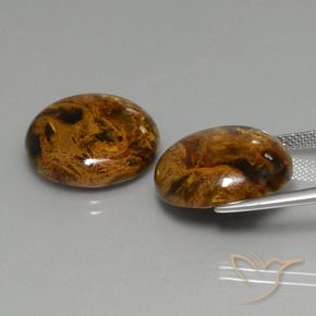 Pedras preciosas de Pietersite Multicolorido natural de 29.41 ct, Redondo, Opaco