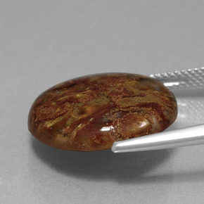 Pietersita multicolorido natural 11,89ct, corte redondo, opaco