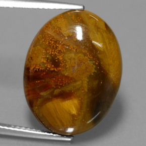 Pietersita multicolorido natural 12,64ct, corte oval, opaco