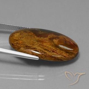 Pietersite Multicolorido Natural 23.40ct, oval, Opaco