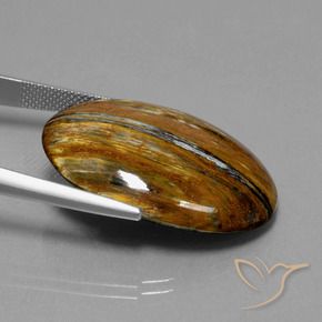 Pietersite Multicolorido Natural 26.40ct, oval, Opaco