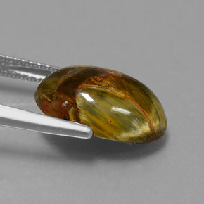 Pietersita multicolorido natural 4,48ct, corte oval, opaco
