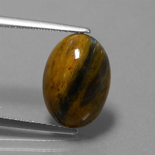 Pietersita multicolorido natural 4,63ct, corte oval, opaco