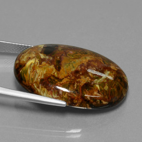 Pietersita multicolorido natural 37,98ct, corte oval, opaco