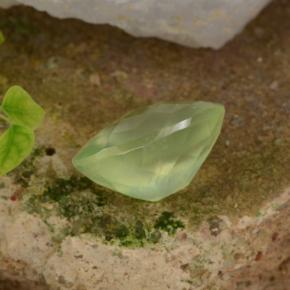 Prehnita verde natural 10,07ct, corte oval, translúcido