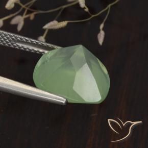 Prehnite Light Yellow Green  Natural 6.75ct, Almofada, Translúcido