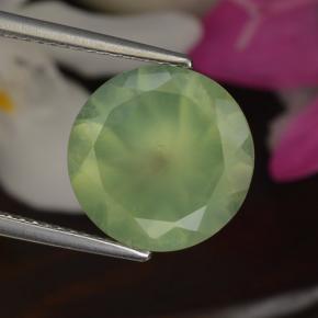 Prehnita verde natural 5,50ct, corte redondo, translúcido