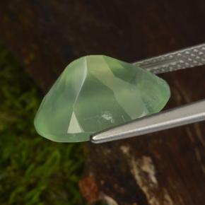 Prehnita verde natural 6,16ct, corte oval, transparente