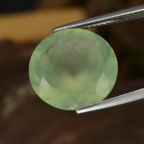 Prehnita verde natural 9,04ct, corte redondo, translúcido