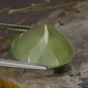 Prehnita verde natural 8,86ct, corte redondo, translúcido