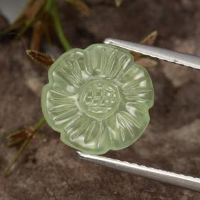 Prehnita verde natural 4,48ct, corte flor, translúcido