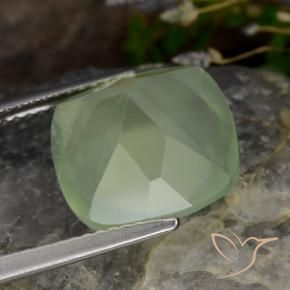 Prehnite Pale Pear Green  Natural 6.97ct, Almofada, Translúcido
