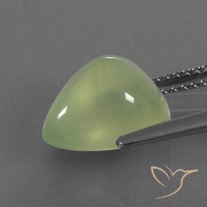 Prehnite Pale Pear Green  Natural 4.73ct, Formato de pêra, Transparente/Translúcido